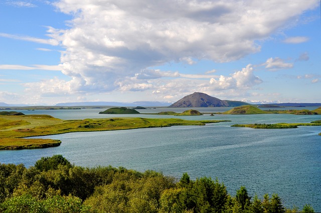 אגם מיוואטן הוא אגם רדוד ועשיר בחומר אורגני הממוקם באזור של פעילות געשית בצפון איסלנד