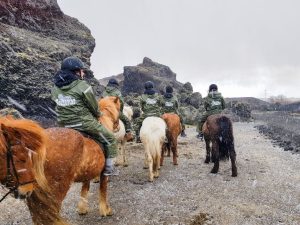 טיולי רכיבה על סוסים באיסלנד